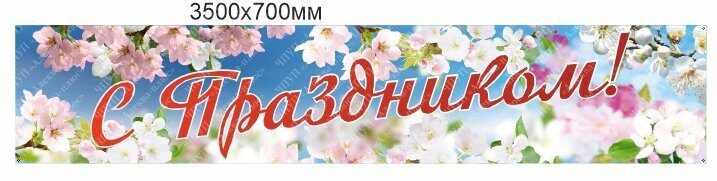 2469 Баннер, растяжка, с праздником