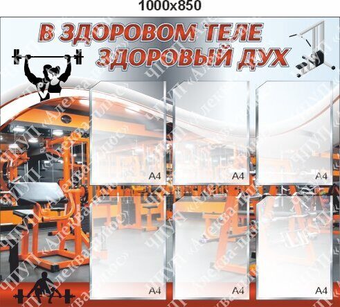 2539 Стенд в здоровом теле здоровый дух, спорт