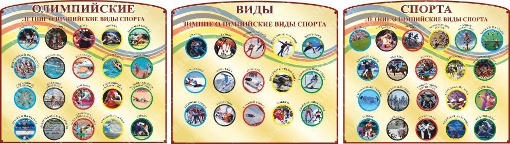 761 Спортивный стенд, спорт, спортивная жизнь, зимние, летние виды спорта