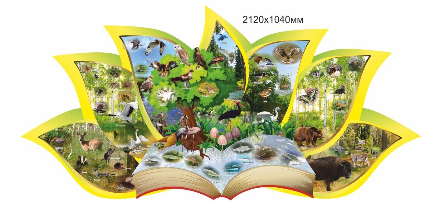 2465 чырвоная книга 1