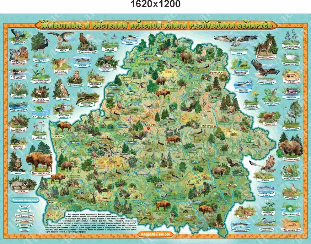 2471 Стенд  красная книга Беларуси, карта