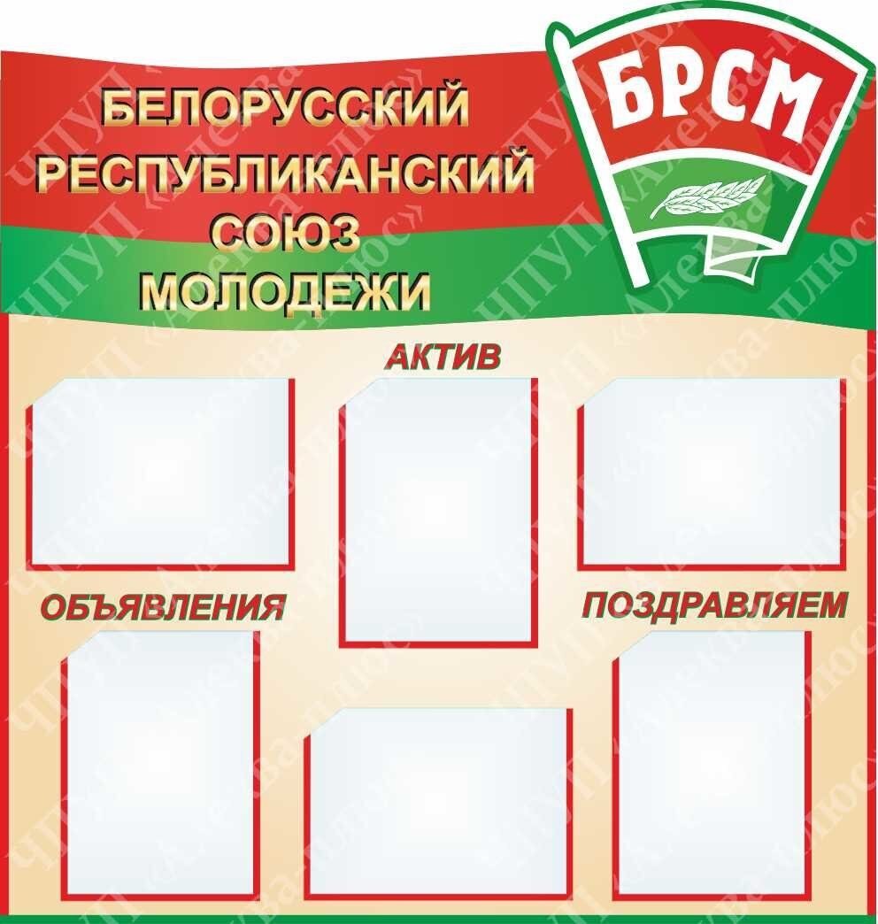 154 БРСМ, детские общественные организации, белорусский республиканский союз молодежи