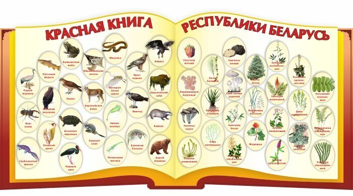 1741 Беларусь, редкие животные и птицы, Красная книга